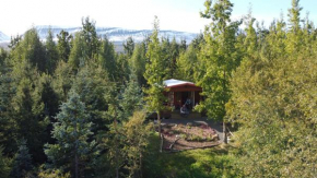 Bakkakot 1 - Cozy Cabins in the Woods Akureyri